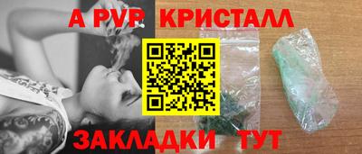 прущие грибы Обнинск