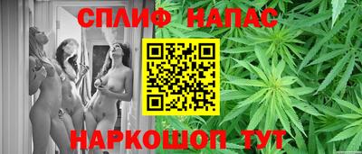 прущие грибы Обнинск