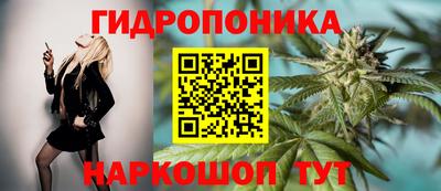 мескалин Новозыбков