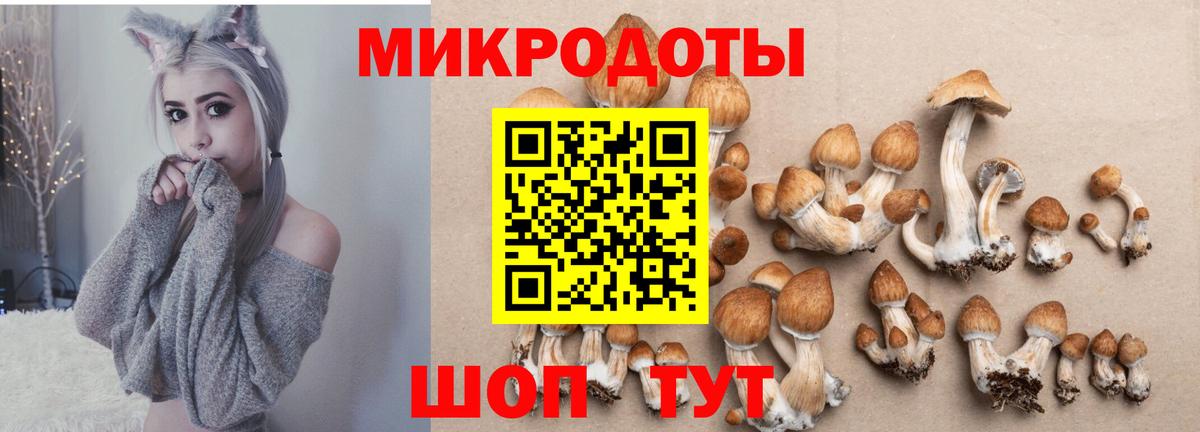 Галлюциногенные грибы мицелий  Вход с VPN  Тобольск 